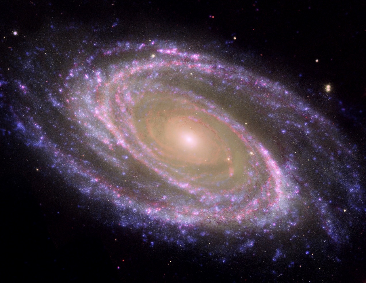 Galaxy